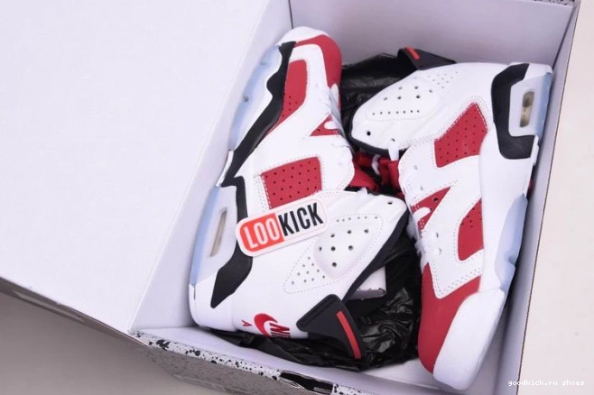 Rep 6 'CARMINE' JORDAN RETRO CT8529-106 2021 AIR 0825